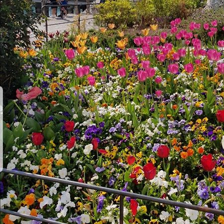 Appartamento Rosy Peschiera del Garda Dış mekan fotoğraf
