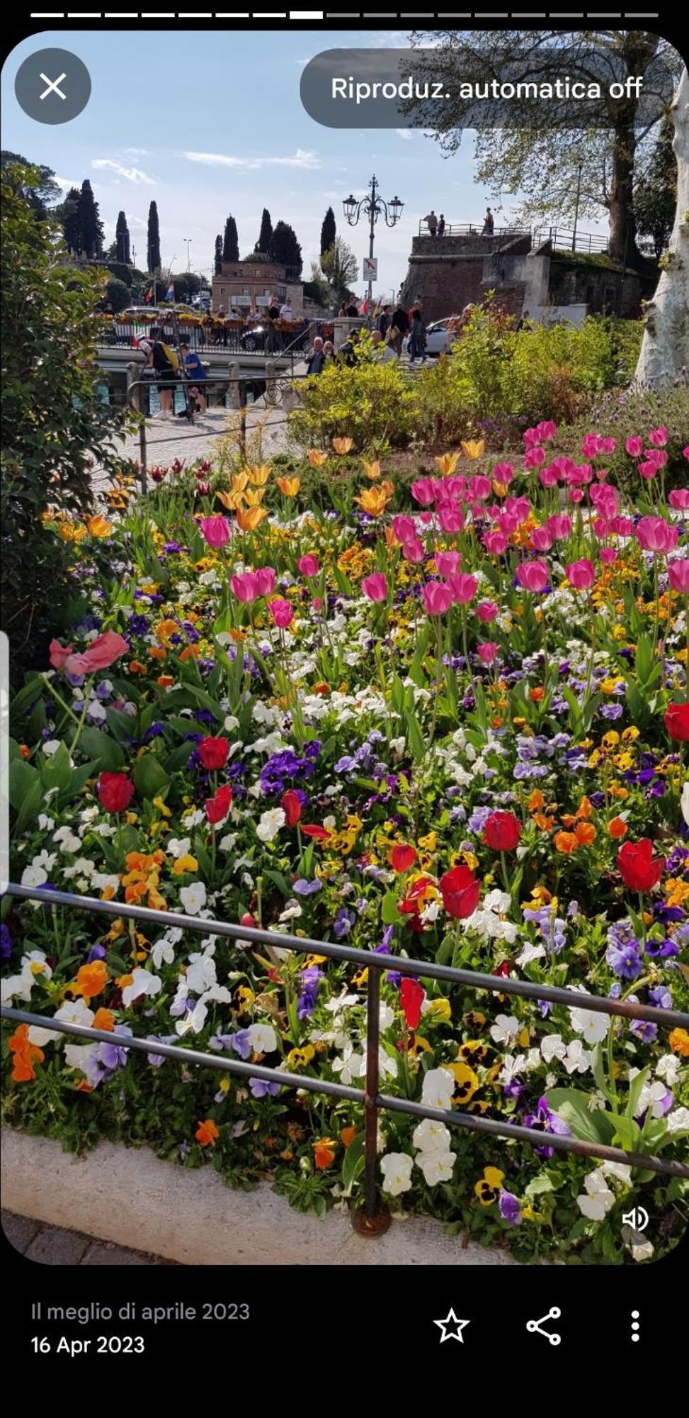 Appartamento Rosy Peschiera del Garda Dış mekan fotoğraf